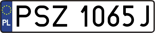 PSZ1065J