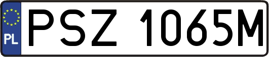 PSZ1065M