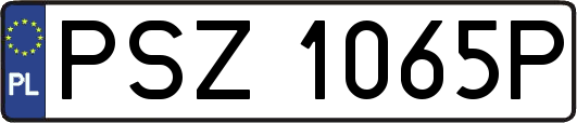 PSZ1065P