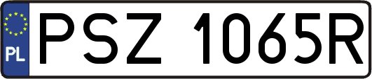 PSZ1065R