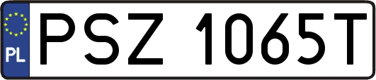 PSZ1065T