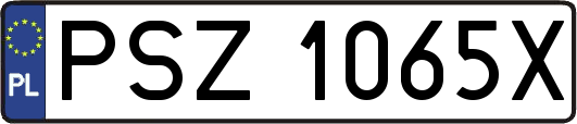 PSZ1065X