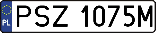 PSZ1075M