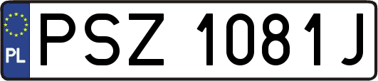 PSZ1081J