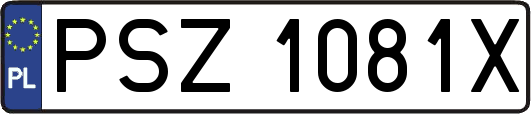 PSZ1081X