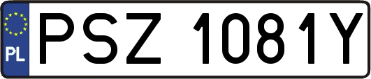 PSZ1081Y