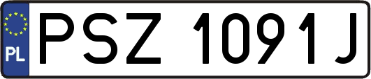 PSZ1091J