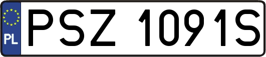 PSZ1091S