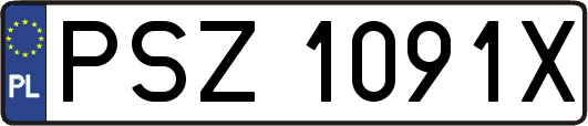 PSZ1091X