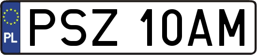 PSZ10AM