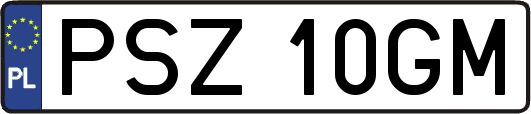 PSZ10GM