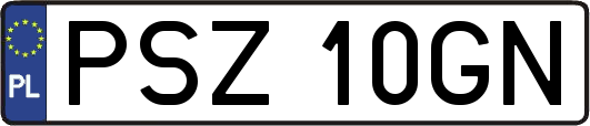 PSZ10GN