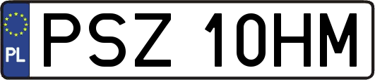 PSZ10HM