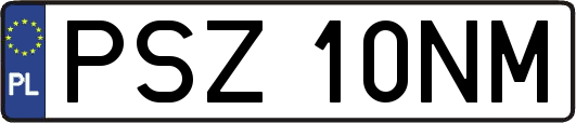 PSZ10NM