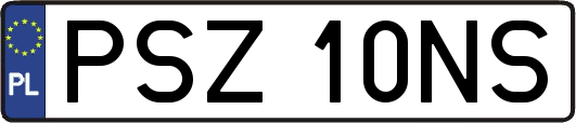 PSZ10NS