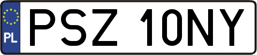 PSZ10NY