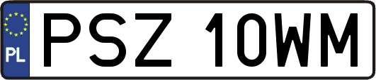 PSZ10WM