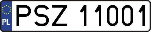 PSZ11001