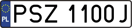 PSZ1100J