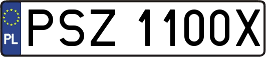 PSZ1100X