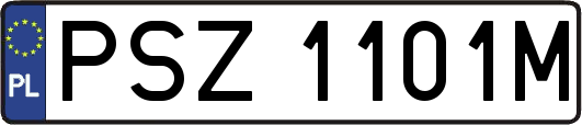 PSZ1101M