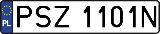 PSZ1101N