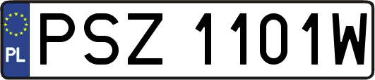 PSZ1101W