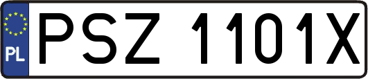 PSZ1101X