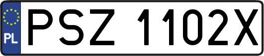 PSZ1102X