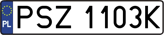 PSZ1103K