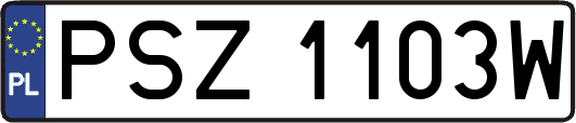 PSZ1103W