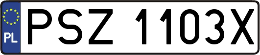 PSZ1103X