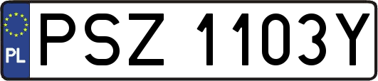 PSZ1103Y