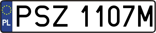 PSZ1107M