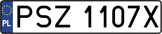 PSZ1107X