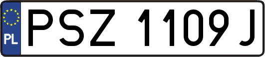 PSZ1109J