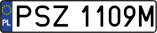 PSZ1109M