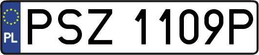 PSZ1109P