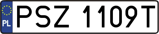 PSZ1109T