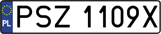 PSZ1109X