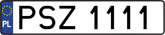 PSZ1111