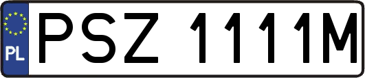 PSZ1111M