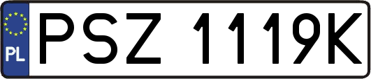 PSZ1119K
