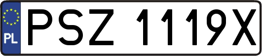 PSZ1119X