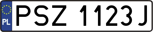 PSZ1123J
