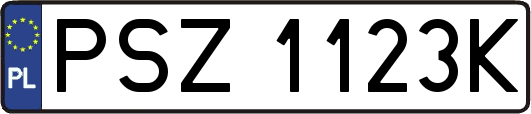 PSZ1123K