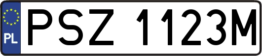 PSZ1123M