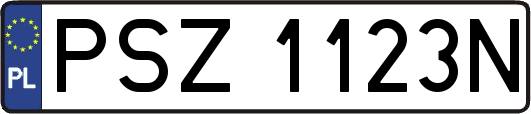 PSZ1123N