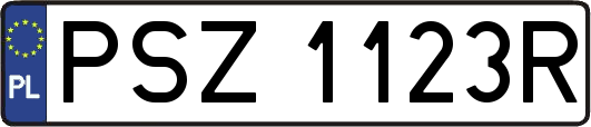PSZ1123R