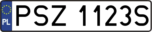 PSZ1123S